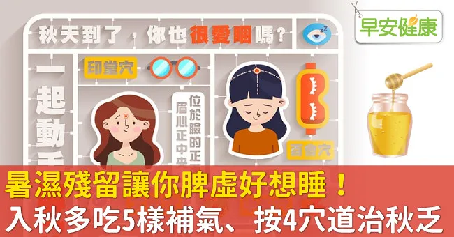 暑濕殘留讓你脾虛好想睡！入秋多吃5樣補氣、按4穴道治秋乏