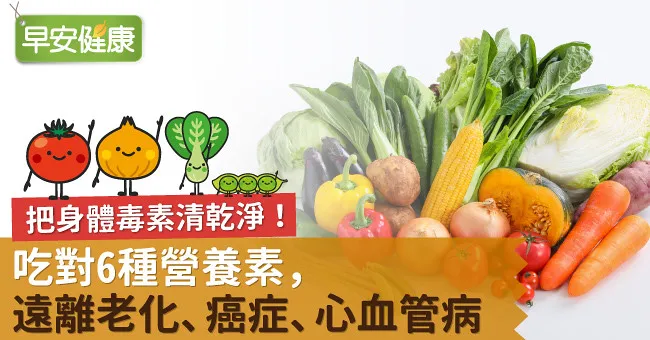把身體毒素清乾淨！吃對6種營養素，遠離老化、癌症、心血管病