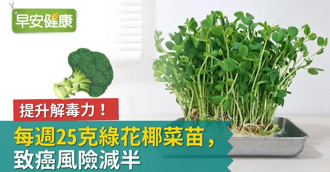 提升解毒力！每週25克綠花椰菜苗，致癌風險減半