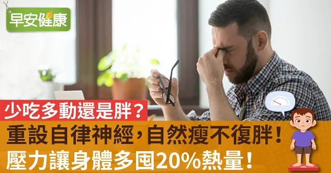 壓力讓身體多囤20％熱量！重設自律神經，自然瘦不復胖！