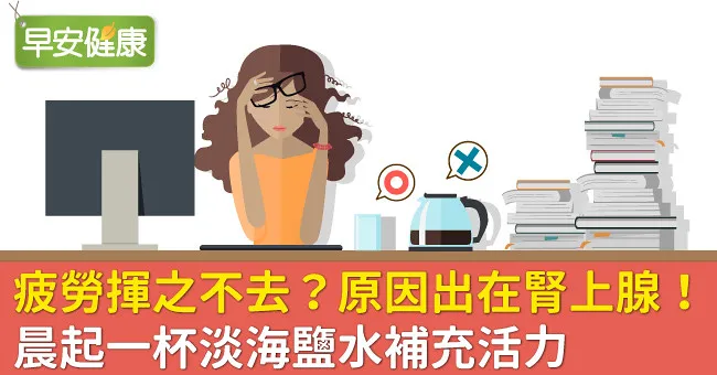 疲勞揮之不去？原因出在腎上腺！晨起一杯淡海鹽水補充活力