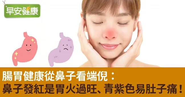 腸胃健康從鼻子看端倪：鼻子發紅是胃火過旺、青紫色易肚子痛！