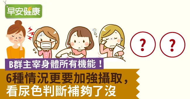 B群主宰身體所有機能！6種情況更要加強攝取，看尿色判斷補夠了沒