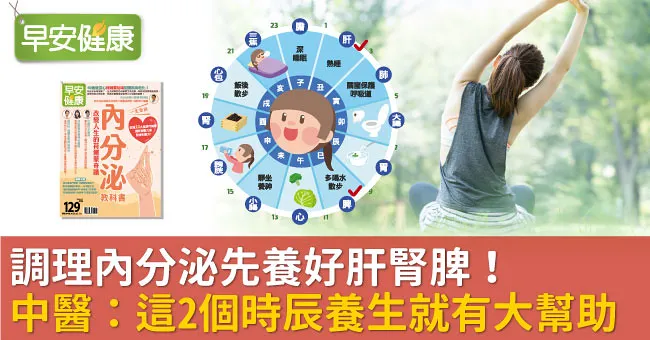 調理內分泌先養好肝腎脾！中醫：這2個時辰養生就有大幫助