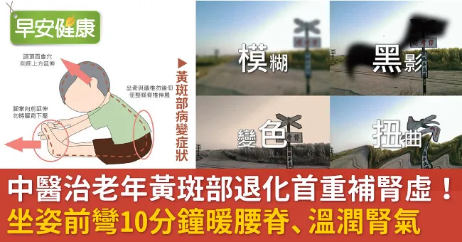 中醫治老年黃斑部退化首重補腎虛！坐姿前彎10分鐘暖腰脊、溫潤腎氣
