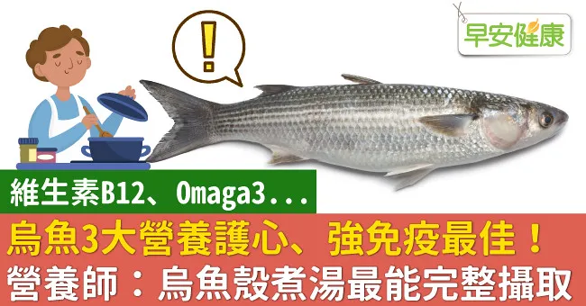 烏魚3大營養護心、強免疫最佳！營養師：烏魚殼煮湯最能完整攝取