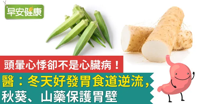 頭暈心悸卻不是心臟病！醫：冬天好發胃食道逆流，秋葵、山藥保護胃壁