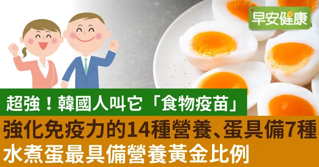 強化免疫力的14種營養、蛋具備7種！水煮蛋是營養黃金比例