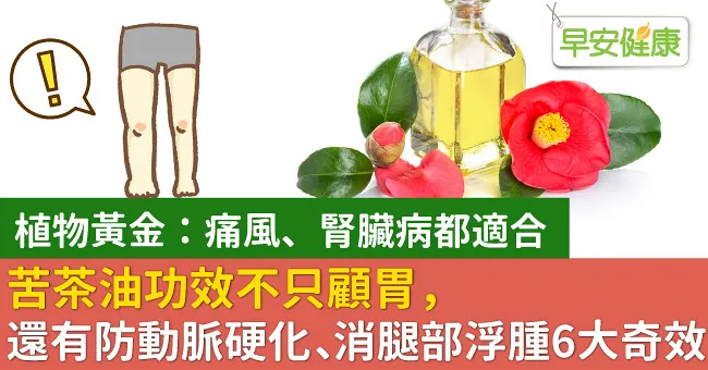 苦茶油功效不只顧胃，還有防動脈硬化、消腿部浮腫6大奇效
