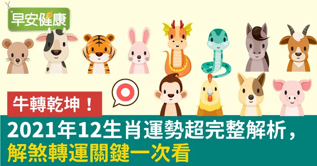 牛轉乾坤！2021年12生肖運勢超完整解析，解煞轉運關鍵一次看
