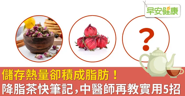 儲存熱量卻積成脂肪！降脂茶快筆記，中醫師再教實用5招