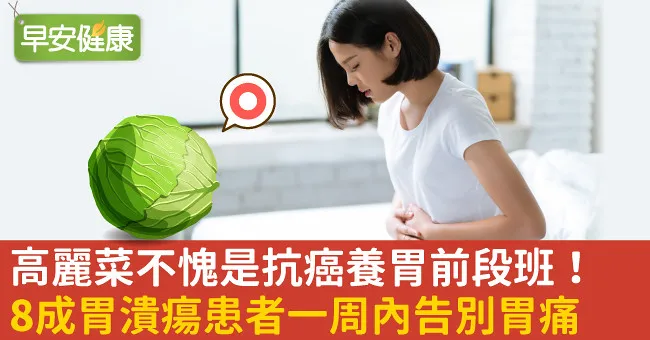 高麗菜不愧是抗癌養胃前段班！8成胃潰瘍患者一周內告別胃痛