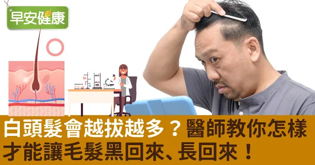 白頭髮會越拔越多？醫師教你怎樣才能讓毛髮黑回來、長回來！