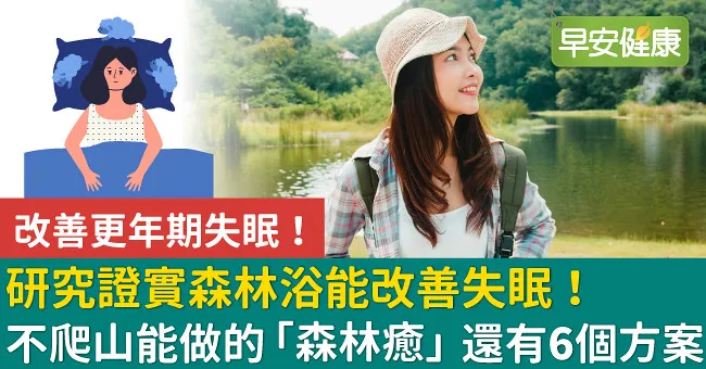 研究證實森林浴能改善失眠！不爬山能做的「森林癒」還有6個方案