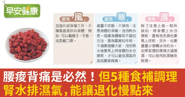 腰痠背痛是必然！但5種食補調理腎水排濕氣，能讓退化慢點來
