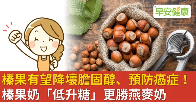 榛果有望降壞膽固醇、預防癌症！榛果奶「低升糖」更勝燕麥奶