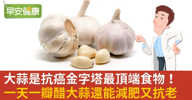 大蒜是抗癌金字塔最頂端食物！一天一瓣醋大蒜還能減肥又抗老