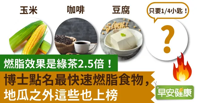 燃脂效果是綠茶2.5倍！營養學教授點名「11種燃脂食物」吃對瘦最快