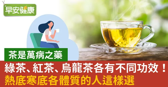綠茶、紅茶、烏龍茶各有不同功效！熱底寒底各體質的人這樣選