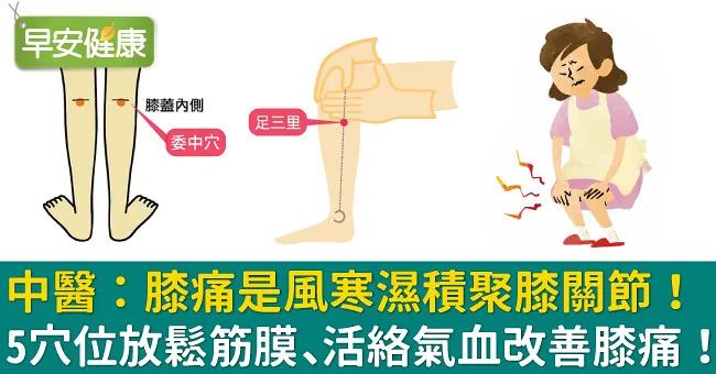 中醫：膝痛是風寒濕積聚膝關節！5穴位放鬆筋膜、活絡氣血改善膝痛！
