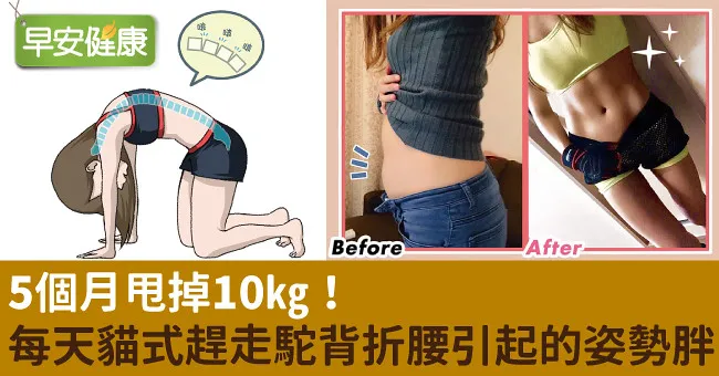 5個月甩掉10kg！每天貓式趕走駝背折腰引起的姿勢胖