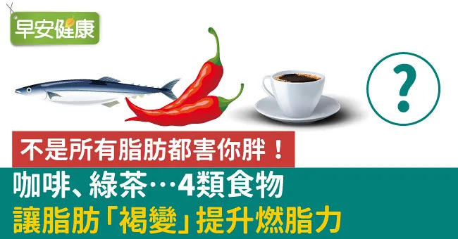 不是所有脂肪都害你胖！咖啡、綠茶…4類食物讓脂肪「褐變」提升燃脂力