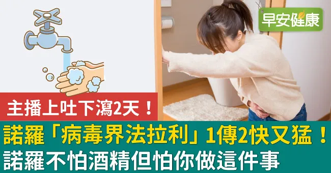 諾羅「病毒界法拉利」1傳2快又猛！諾羅不怕酒精但怕你做這件事
