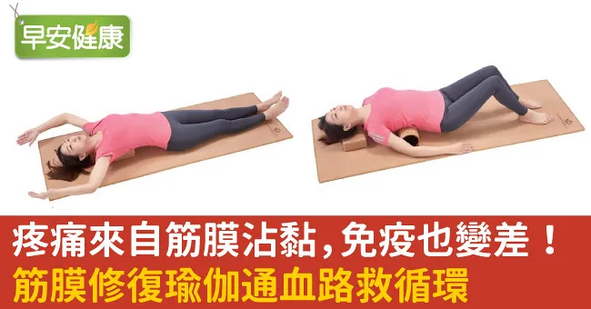 疼痛來自筋膜沾黏，免疫也變差！筋膜修復瑜伽通血路救循環