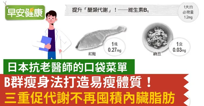B群瘦身法打造易瘦體質！三重促代謝不再囤積內臟脂肪