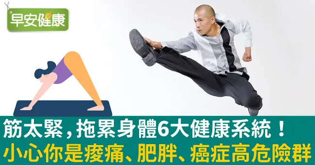 筋太緊，拖累身體6大健康系統！小心你是痠胖、癌症高危險群