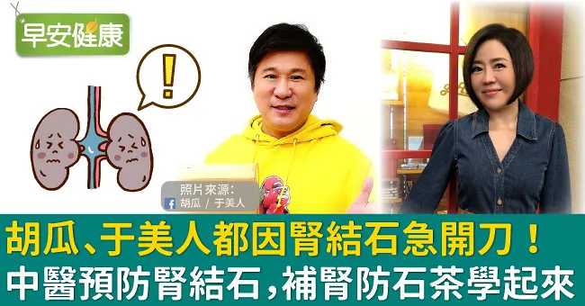 胡瓜、于美人都因腎結石急開刀！中醫預防腎結石，補腎防石茶學起來