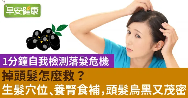 掉頭髮怎麼救？生髮穴位、養腎食補，頭髮烏黑又茂密