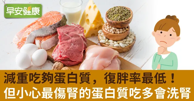 減重吃夠蛋白質，復胖率最低！但小心最傷腎的蛋白質吃多會洗腎