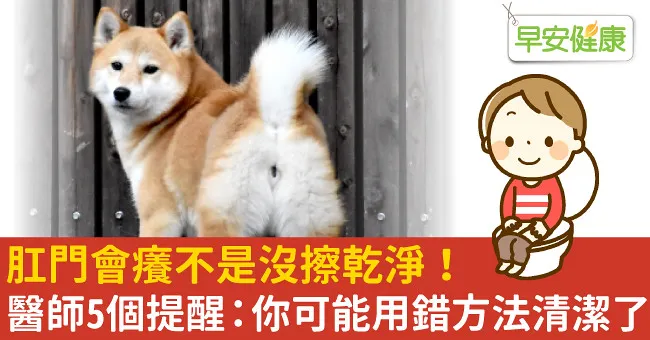 肛門會癢不是沒擦乾淨！醫師5個提醒：你可能用錯方法清潔了