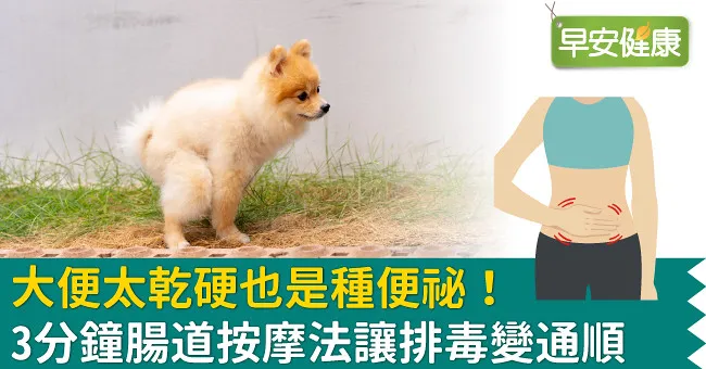 大便太乾硬也是種便祕！3分鐘腸道按摩法讓排毒變通順