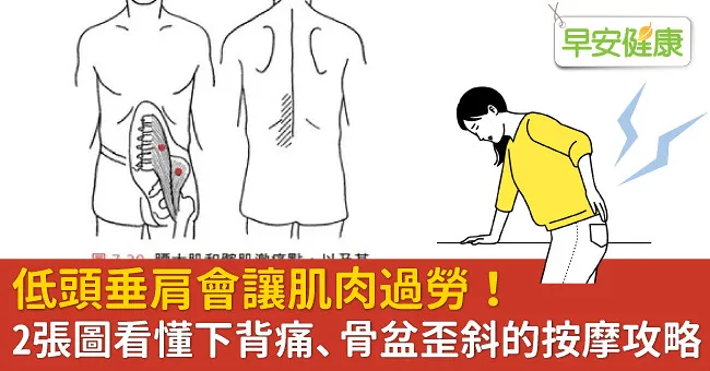 低頭垂肩會讓肌肉過勞！2張圖看懂下背痛、骨盆歪斜的按摩攻略