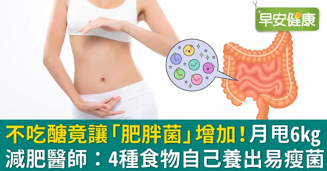 不吃醣竟讓「肥胖菌」增加！月甩6kg減肥醫師：4種食物自己養出易瘦菌