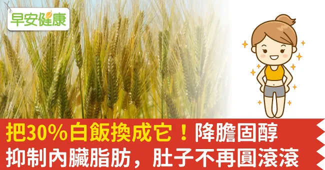 把30％白飯換成它！降膽固醇抑制內臟脂肪，肚子不再圓滾滾
