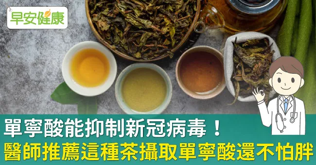 單寧酸能抑制新冠病毒！醫師推薦這種茶攝取單寧酸還不怕胖