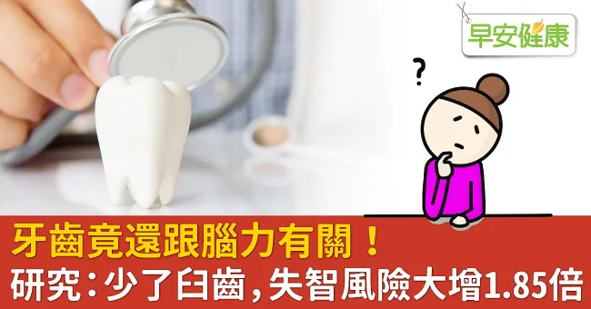 牙齒竟還跟腦力有關！研究：少了臼齒，失智風險大增1.85倍