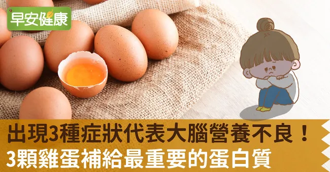 出現3種症狀代表大腦營養不良！3顆雞蛋補給最重要的蛋白質