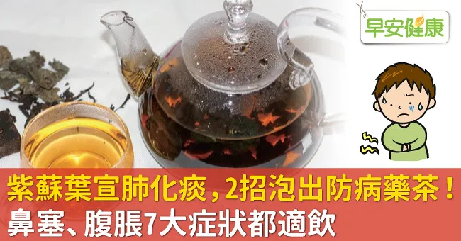 紫蘇葉宣肺化痰，2招泡出防病藥茶！鼻塞、腹脹7大症狀都適飲