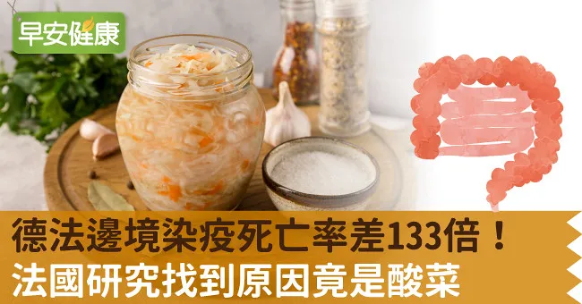 德法邊境染疫死亡率差133倍！法國研究找到原因竟是酸菜