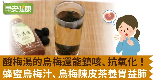 酸梅湯的烏梅還能鎮咳、抗氧化！蜂蜜烏梅汁、烏梅陳皮茶養胃益肺