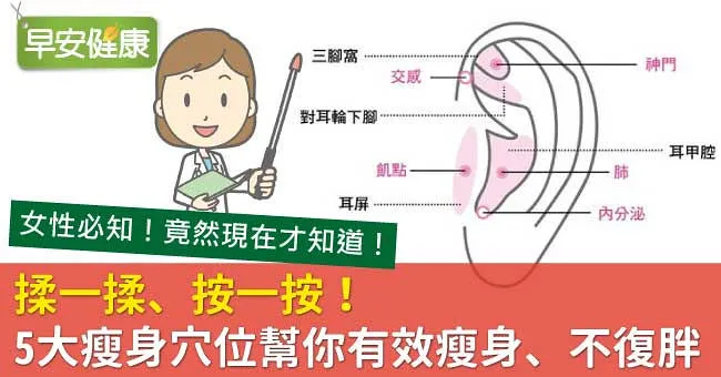 揉一揉、按一按！5大瘦身穴位幫你有效瘦身、不復胖