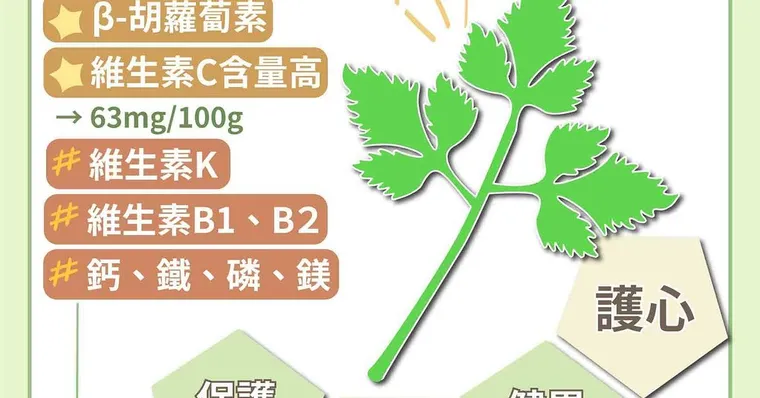 香菜入披薩你吃了嗎？​跌破眼鏡，香菜的維生素C竟然比蘋果多