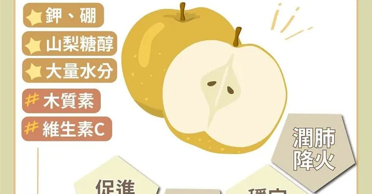 水梨被譽為百果之宗！清熱潤肺4大好處連果皮都營養