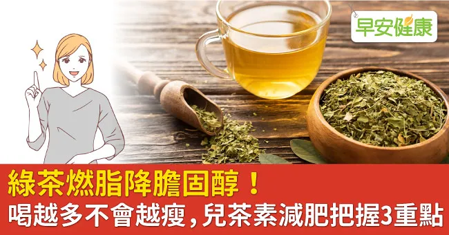 綠茶燃脂降膽固醇！喝越多不會越瘦，兒茶素減肥把握3重點