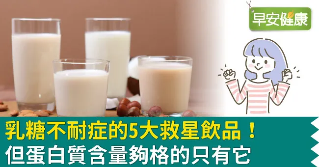 乳糖不耐症的5大救星飲品！但蛋白質含量夠格的只有它