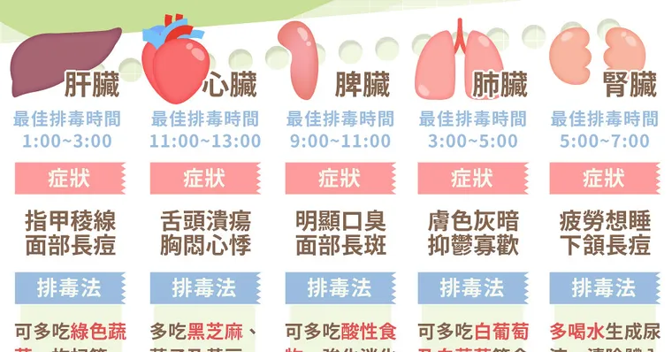 這些症狀代表器官過勞、毒素積太多！五臟排毒攻略一張表看懂